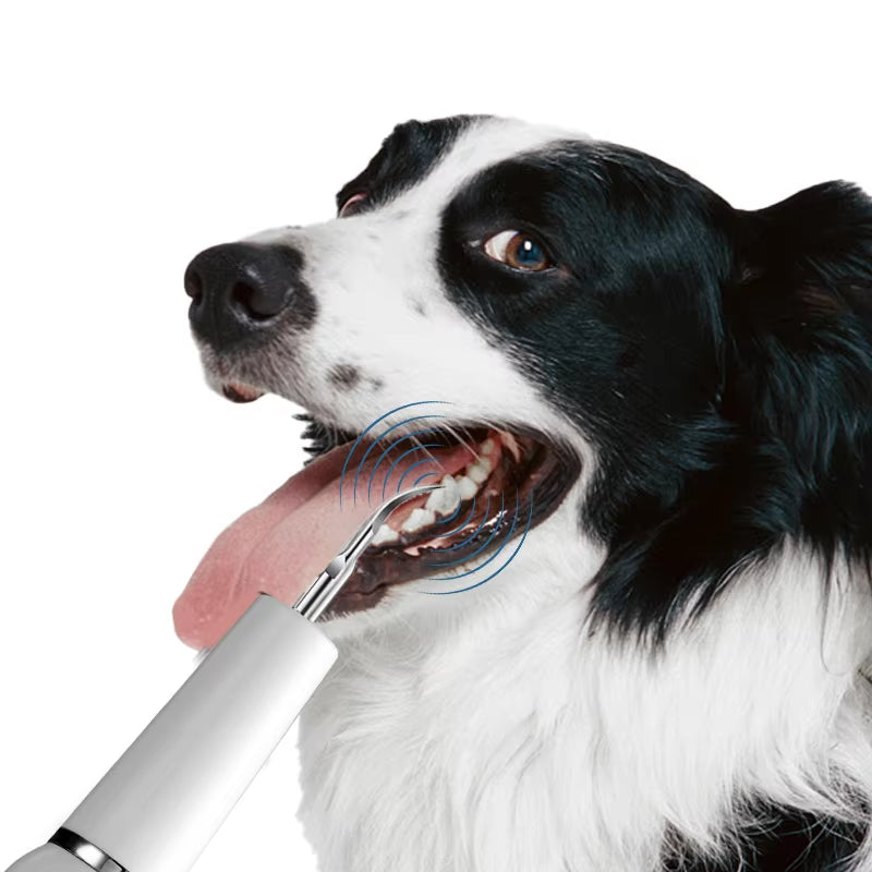 Ultrasonic Dog Toothbrush & Dental Scaler – Electric Plaque Remover Tool for Dogs & Cats | Pet Teeth Cleaning Kit for Tartar, Calculus & Oral Care
