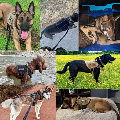 Tactical Dog Harness Set for Medium & Large Dogs – Adjustable Molle Vest with Leash, Collar & Pouches | Durable 1050D Nylon for German Shepherd, Malinois