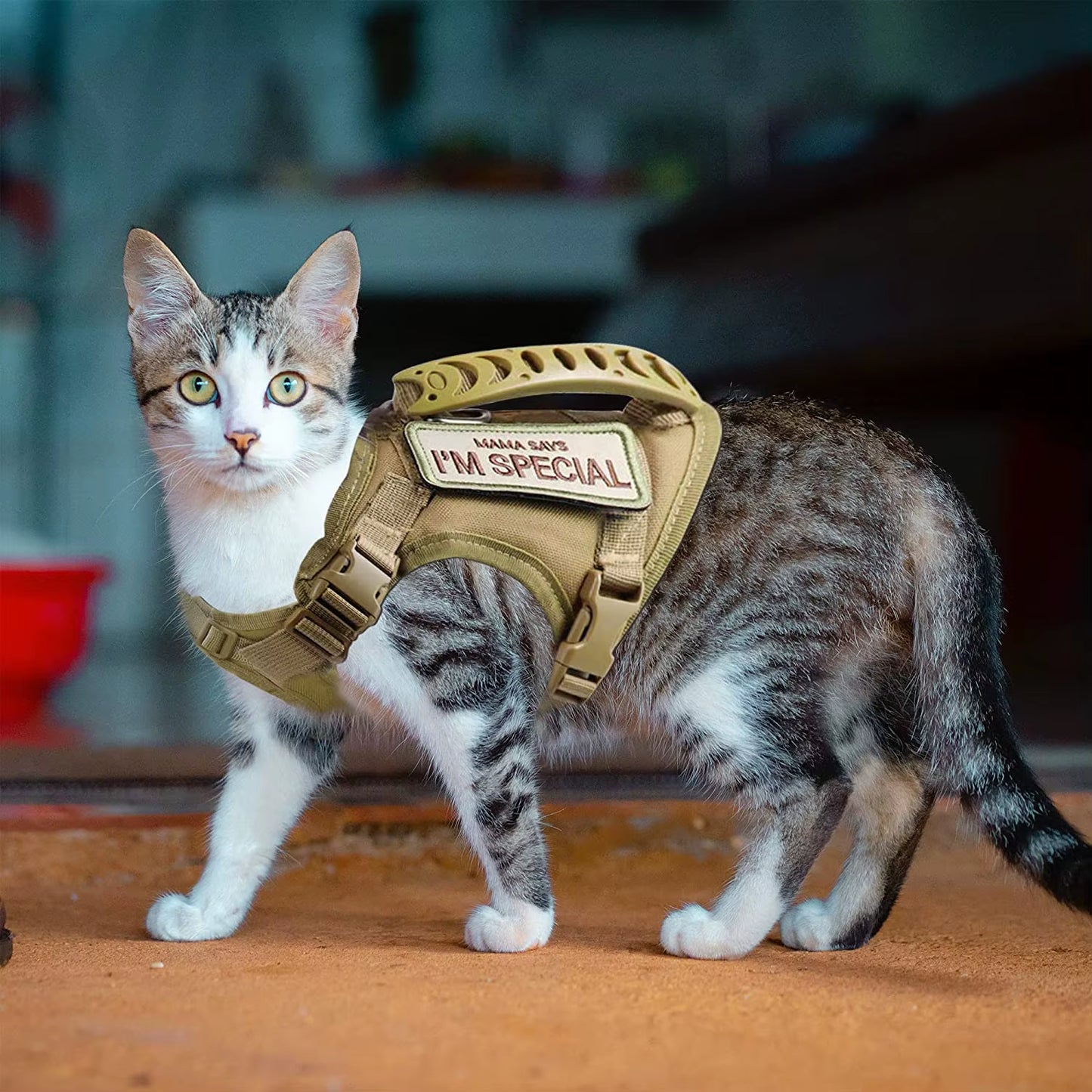 Tactical Cat Harness & Leash Set with Patches – Adjustable Pet Vest with Handle for Walking Large Cats & Small Dogs