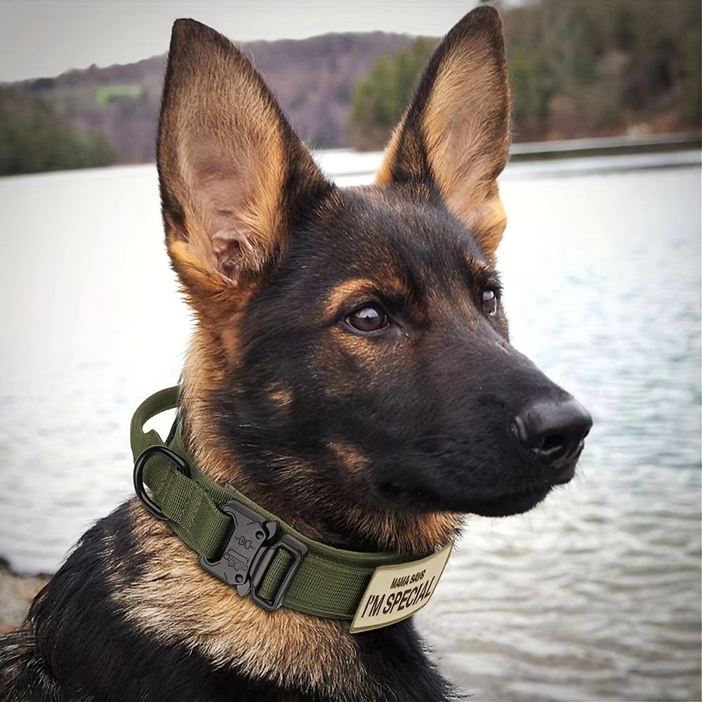 Heavy Duty Tactical Dog Collar with Handle – Military-Grade Training Collar for Medium & Large Dogs | Outdoor Walking with Velcro Patch